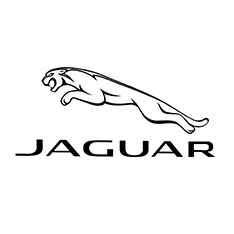 Jaguar Bayileri
