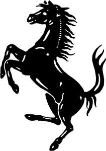 BZT Bozat Halı ve Koltuk Yıkama