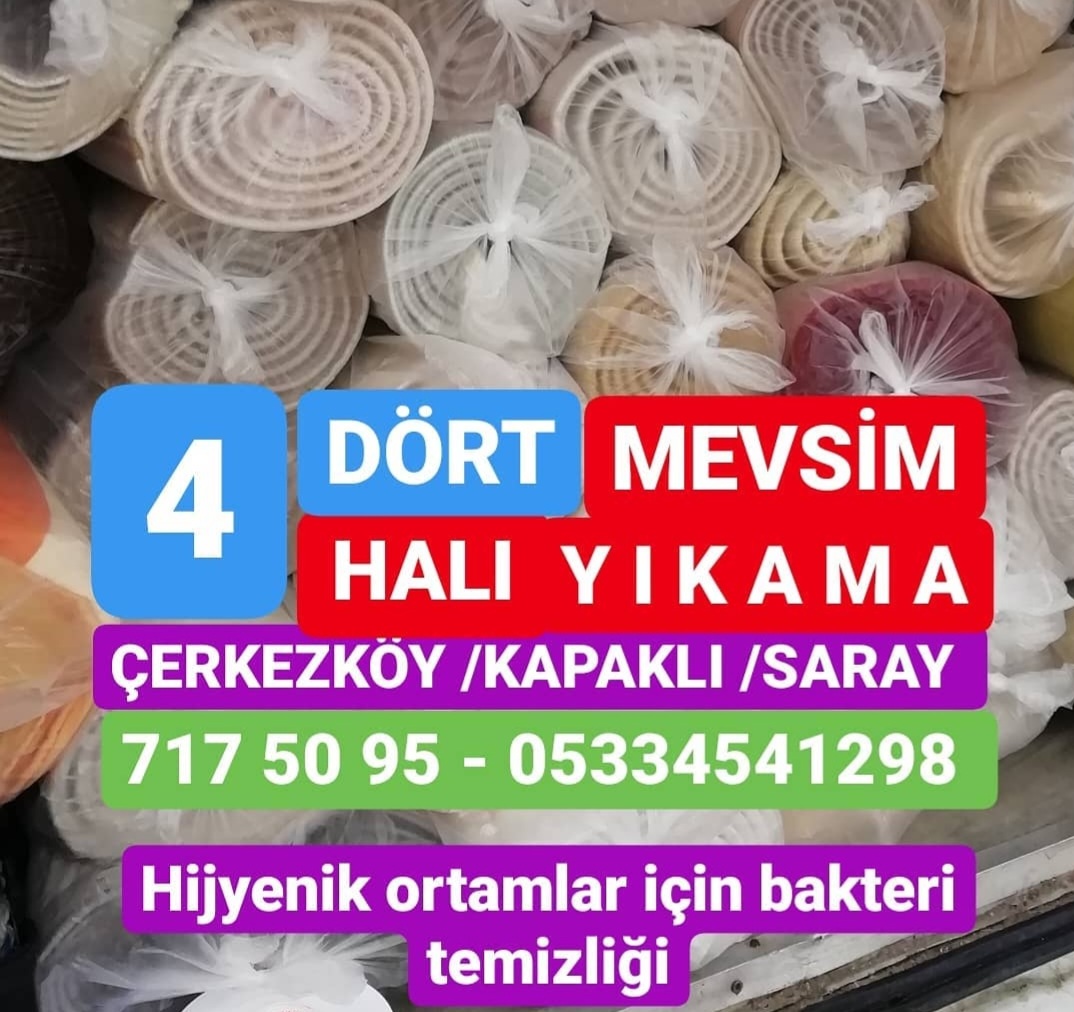 Dörtmevsim Halı Yıkama