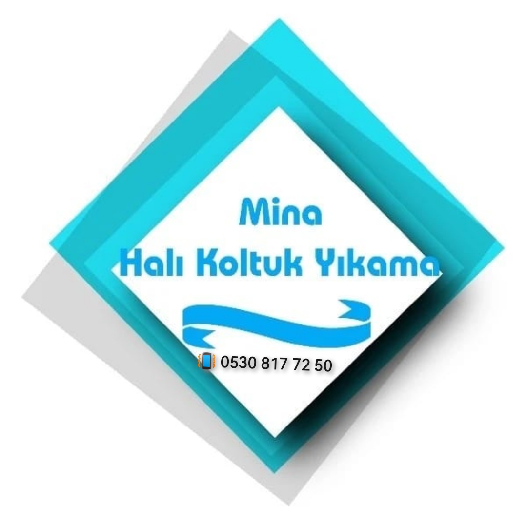 Mina Halı & Koltuk Yıkama
