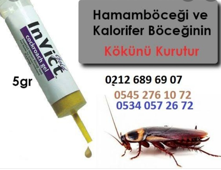 Berat Böcek İlaçlama