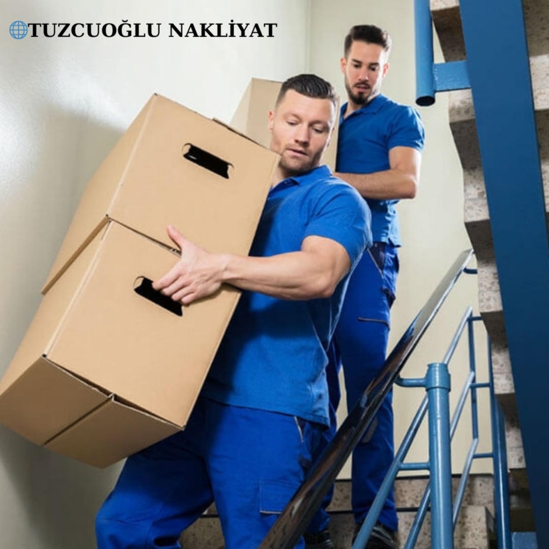 Ardınç Nakliyat - Şube