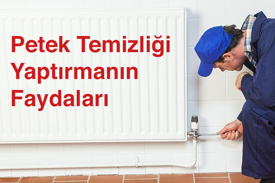 Petek Temizliği Yaptırmanın Faydaları